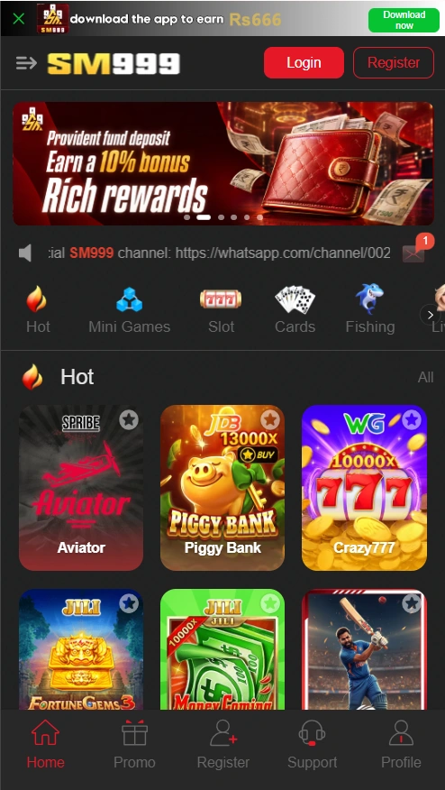 SM999 Game interface screenshot
