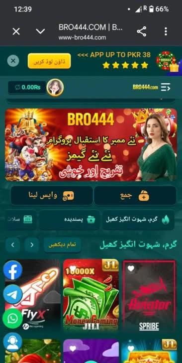 Bro444 Game interface screenshot